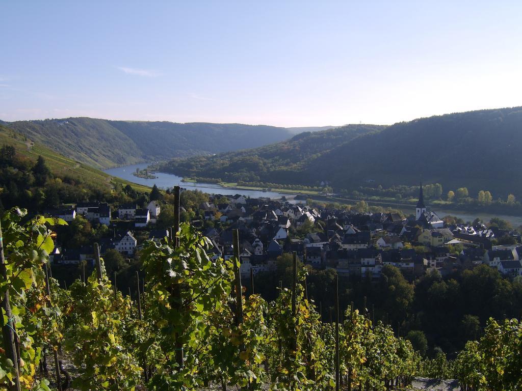 Апартаменты Weingut Matthias Dauns Рейл Экстерьер фото