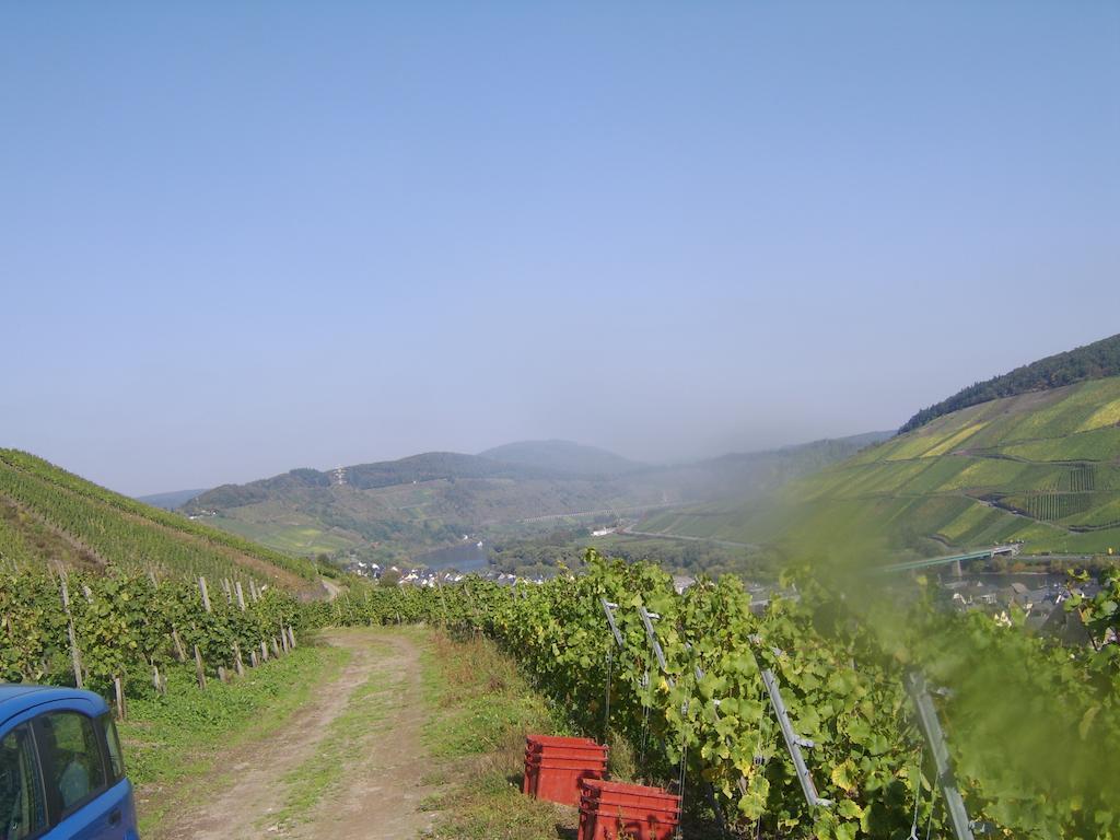 Апартаменты Weingut Matthias Dauns Рейл Экстерьер фото