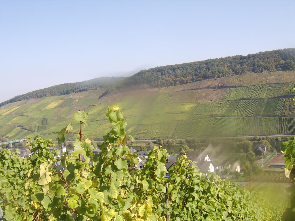 Апартаменты Weingut Matthias Dauns Рейл Экстерьер фото