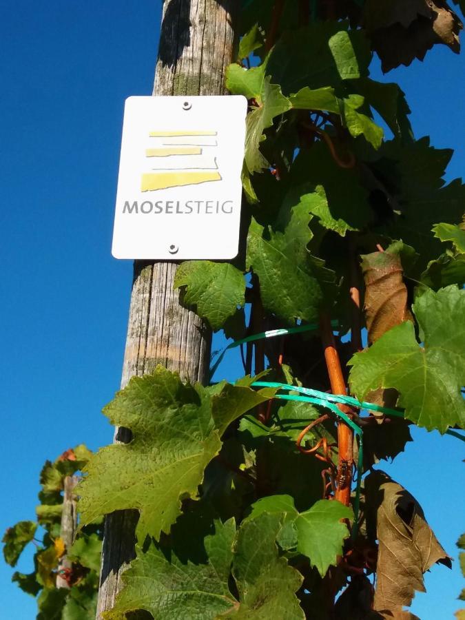 Апартаменты Weingut Matthias Dauns Рейл Экстерьер фото